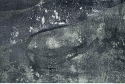 Photo Textures of Paint